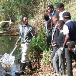 Services-Community-and-Citizen-Science