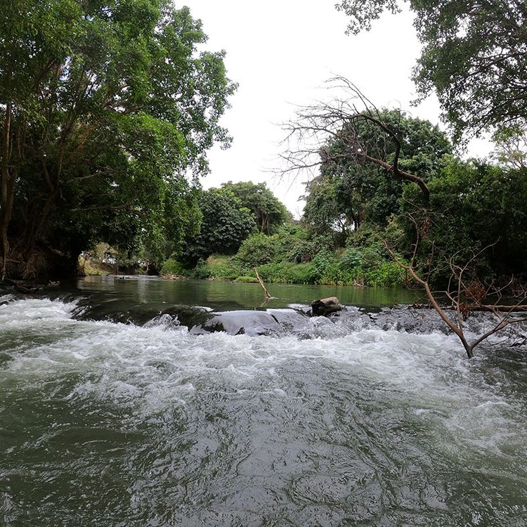 GTE377_GOPR0597